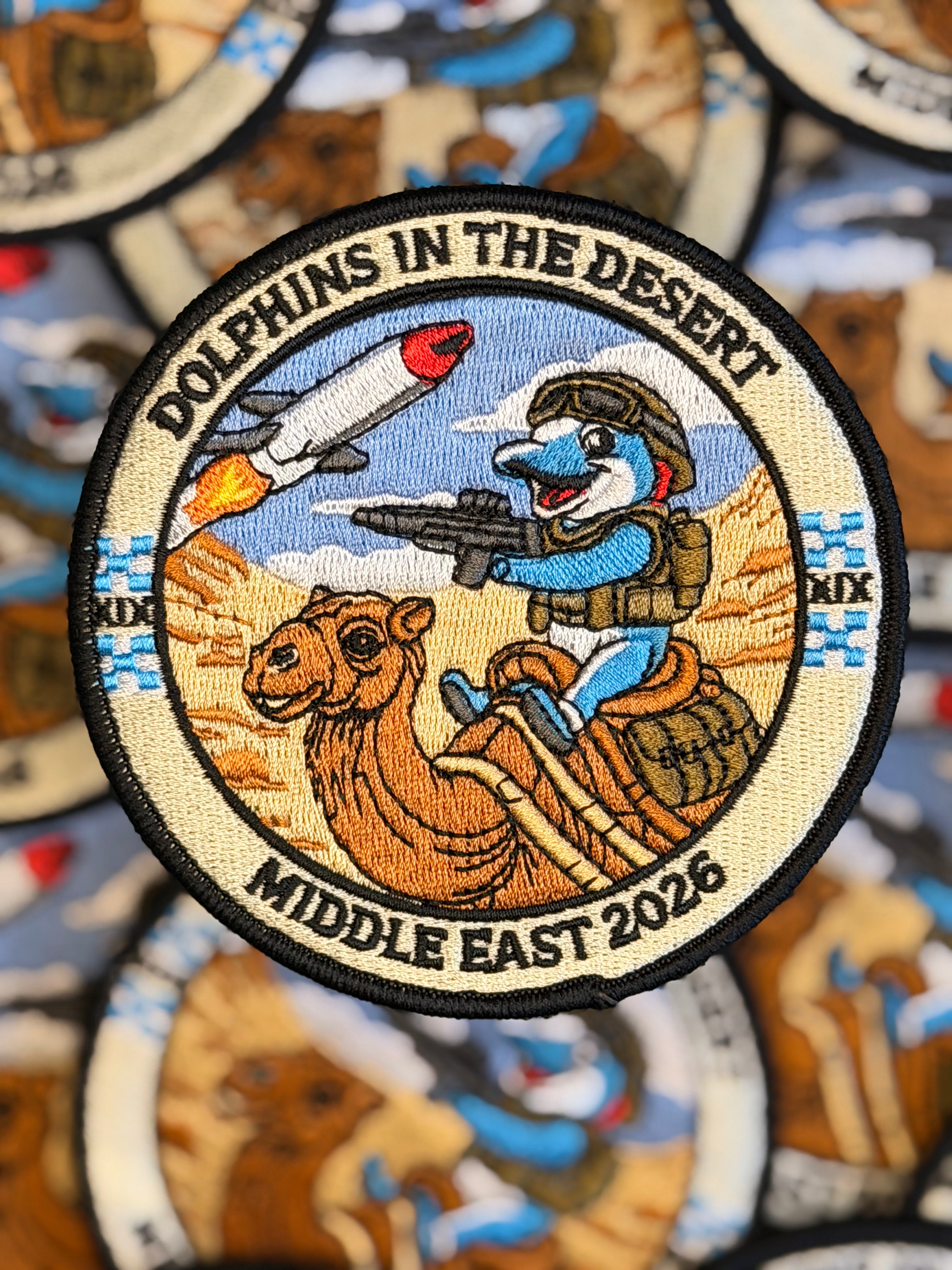 19Sqn Dolphin Patch